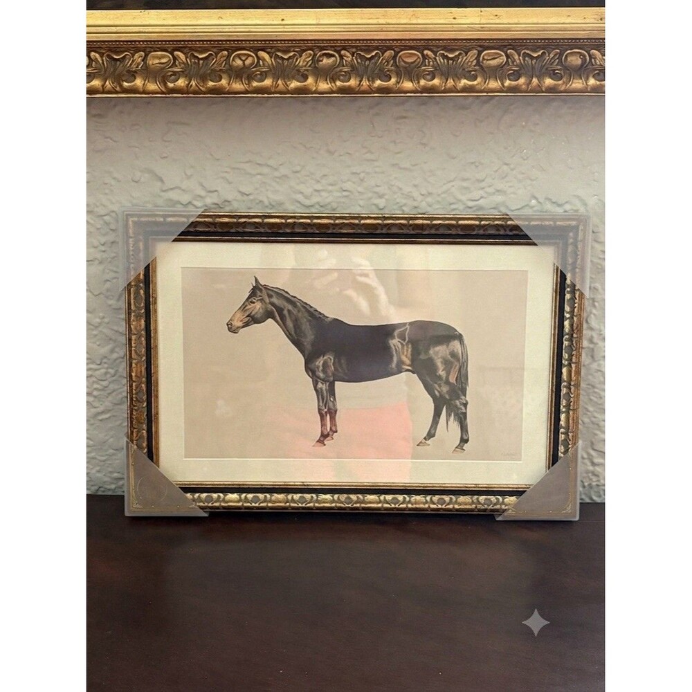 MARMONT HILL Framed HORSE WALL ART Ralph Lauren Style Home Decor NEW 18" x 12"
